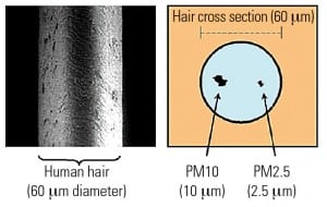 520004de50838-PWR_p57_fig01