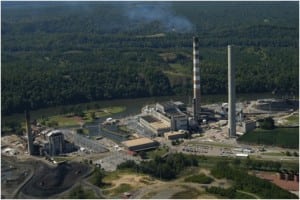 gorgas-plant-pic-by-nelson-brook-300x200