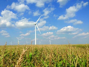 Fig 1_Wind power_AL