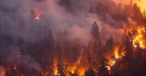 61957-wildfire-1.1200w.tn