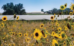 Fig1-Jacks-community-solar-garden-colorado-doe