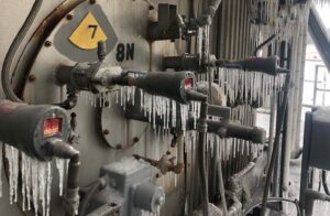 Freeze_damage_Entergy