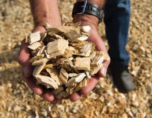 Fig1-wood-biomass-oregon-forestry