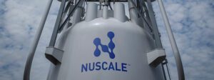 nuscale-gal4-m