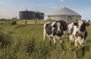 Renewable Natural Gas_biodigester_Shutterstock