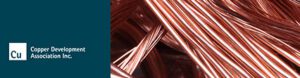 Extract from A Strategic Sourcing Frameworkor the Clean Energy Transition-R