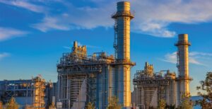 Eagles_pines-1024x527