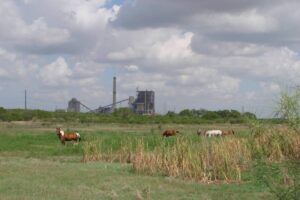 San-Miguel-Electric-Cooperative-SMECI