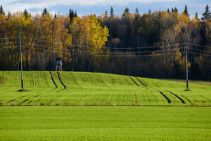 rural-electric-cooperative-power-grid